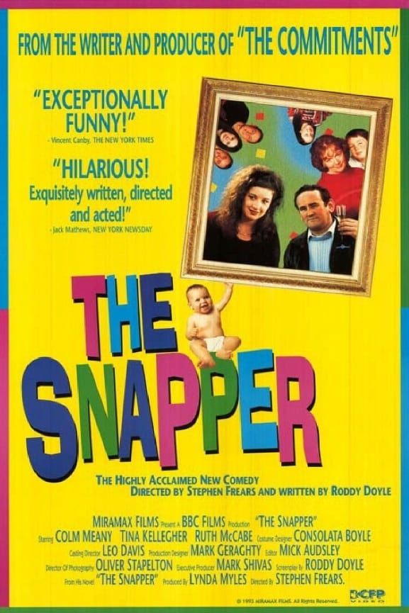 Постер The Snapper